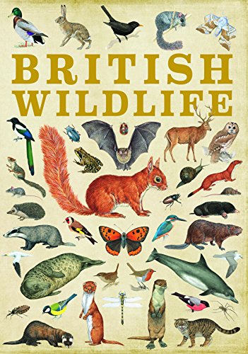 Cover of British Wildlife
