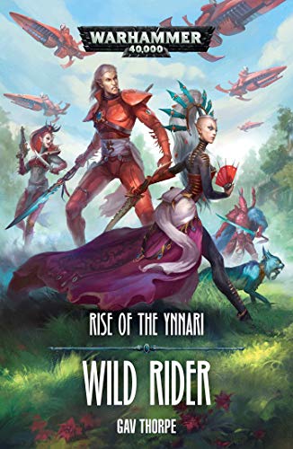 Wild Rider book cover