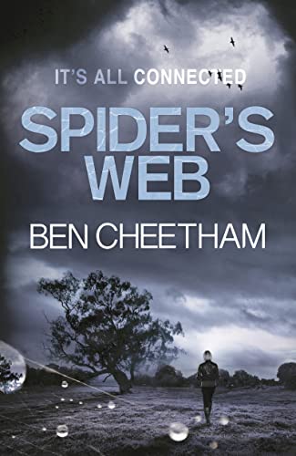 Spider's Web / Lost Sister book cover