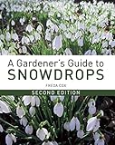 A Gardeners Guide To Snowdrops