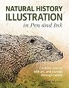 Natural History Illustration in Pen and Ink