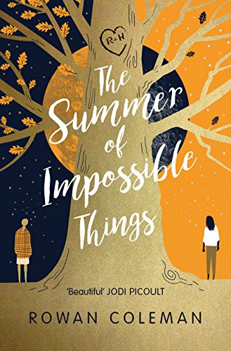The Summer of Impossible Things book cover