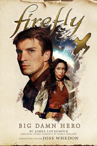 Big Damn Hero book cover
