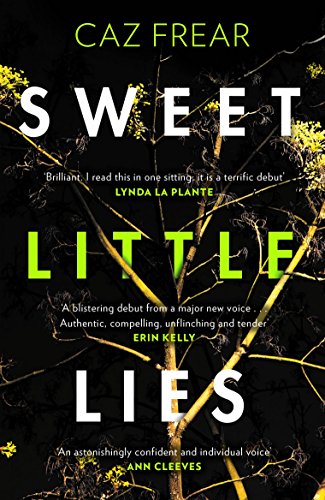 Sweet Little Lies book cover