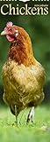 Chickens Slim Calendar 2020