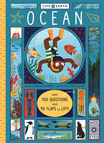 Cover of Ocean