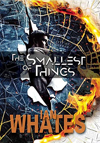 The Smallest of Things book cover