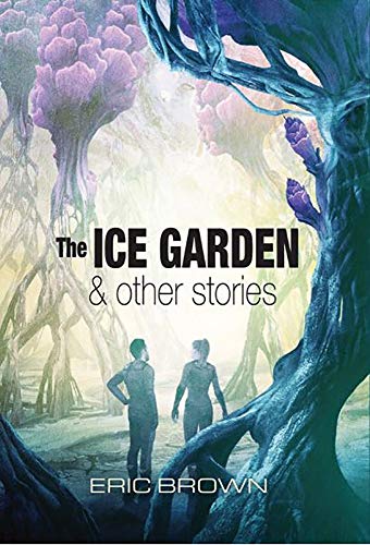The Ice Garden and Other Stories book cover