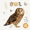 Owl (Life Cycles)