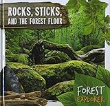 Rocks, sticks, and the forest floor
