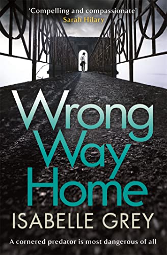 Wrong Way Home book cover
