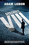 District VIII