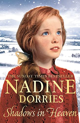 Shadows in Heaven book cover