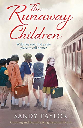 The Runaway Children book cover
