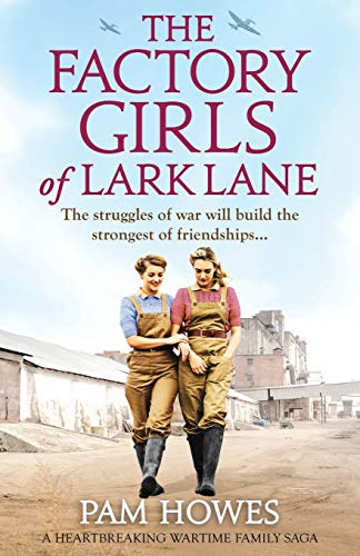 The Factory Girls of Lark Lane book cover