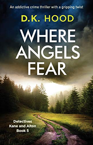 Where Angels Fear book cover