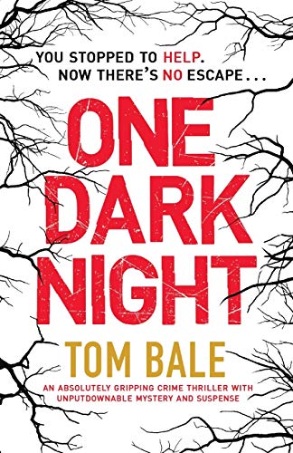 One Dark Night book cover