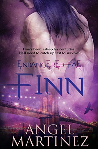 Finn cover