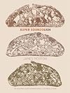 Super Sourdough: The Foolproof Guide to Making World-Class Bread at Home
