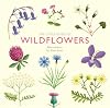 The Little Guide to Wildflowers (Little Guides)