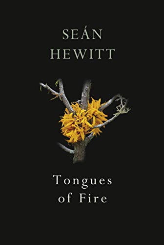 Tongues of Fire book cover