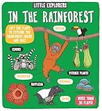 Little Explorers In The Rainforest