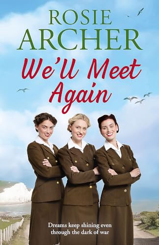 We'll Meet Again book cover