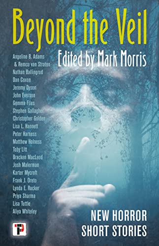 Beyond the Veil book cover