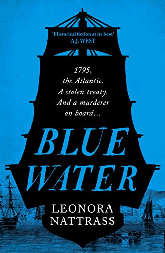 Blue Water book cover