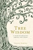 Tree Wisdom A Year Of Healing Among The Trees