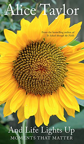 And Life Lights Up cover