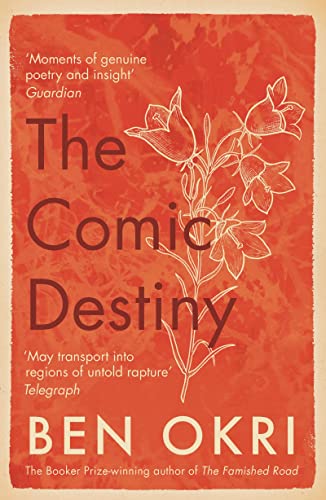 The Comic Destiny book cover
