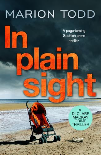 In Plain Sight book cover