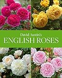 David Austins English Roses