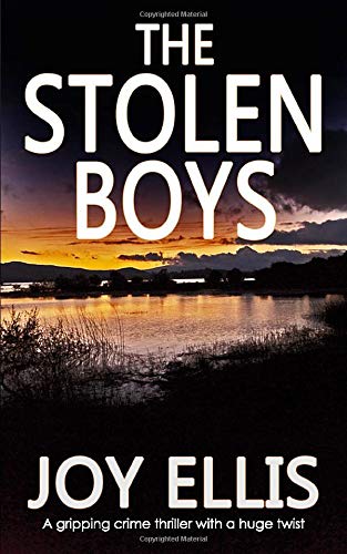 The Stolen Boys cover