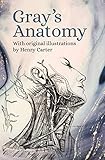 Grays Anatomy With Original Illustrations By Henry Carter
