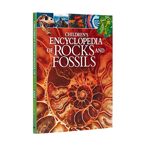Children's Encyclopedia of Rocks and Fossils book cover