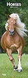 Horses 2020 Slimline Calendar