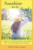 Sonshine For The Soul A Collection Of Inspirational Quotes Encouraging Bible Verses And Original Funny Bloopers