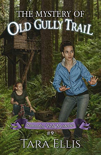 The Mystery of Old Gully Trail book cover