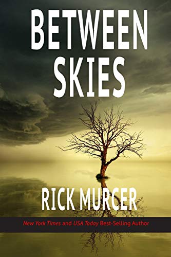 Between Skies book cover