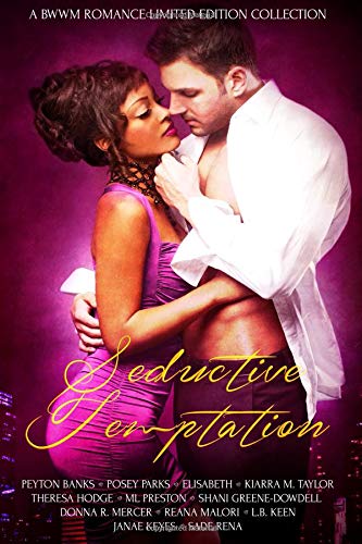 Seductive Temptation book cover