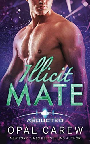 Illicit Mate book cover