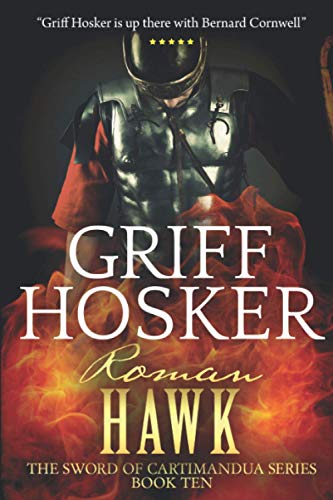 Roman Hawk book cover