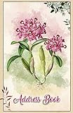 Address Book Large Print Orchids 55 X 85 Organize Addresses Phone Numbers Emails Great Gift For Gardeners And Orchid Flowers Lovers