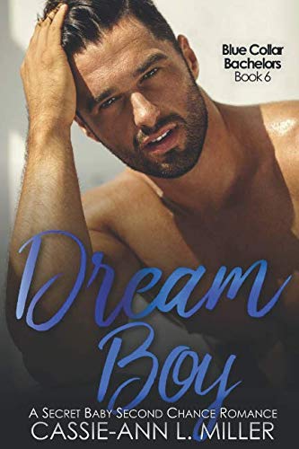 Dream Boy book cover