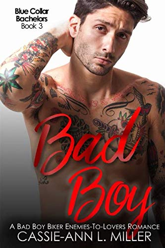 Bad Boy book cover