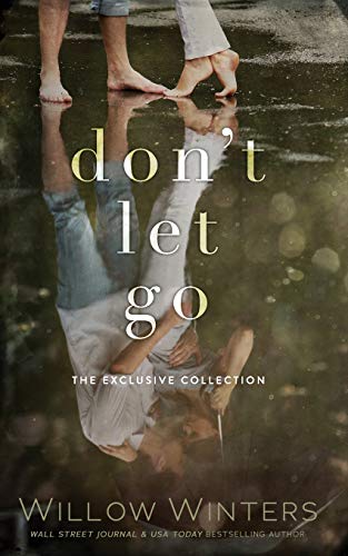 Don't Let Go book cover