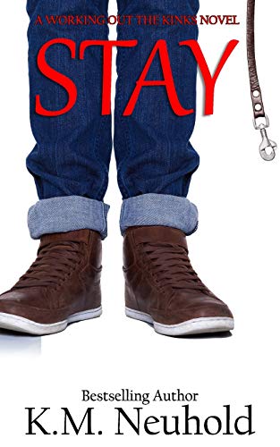 Stay book cover