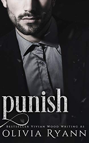 Punish book cover